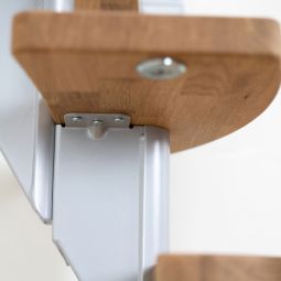 DOLLE Mittelholmtreppe Berlin, inkl. einseitigem 6