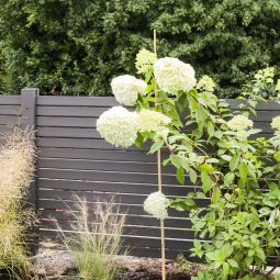 TraumGarten Gartenzaun SYSTEM Rhombus anthrazit 15