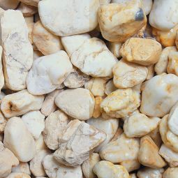 Zierkies Taunuskies 5