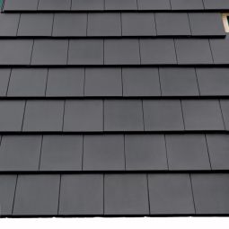 BRAAS Dachstein Tegalit Protegon (matt) 4