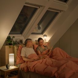 NEU: VELUX Elektro-Rollladen SML 0100K 5