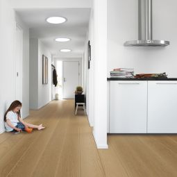 VELUX Tageslicht-Spot TLR mit starrem 3