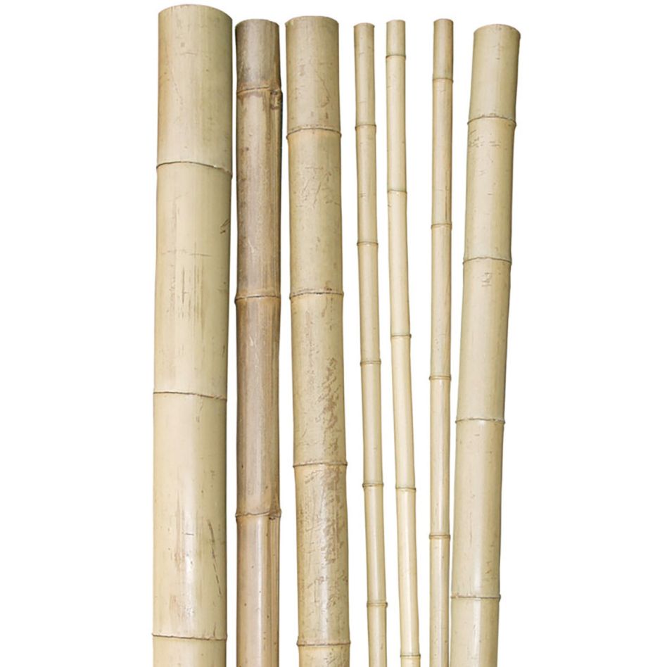 Windhager Bambus-Pflanzstab 250x4,5-6 cm günstig