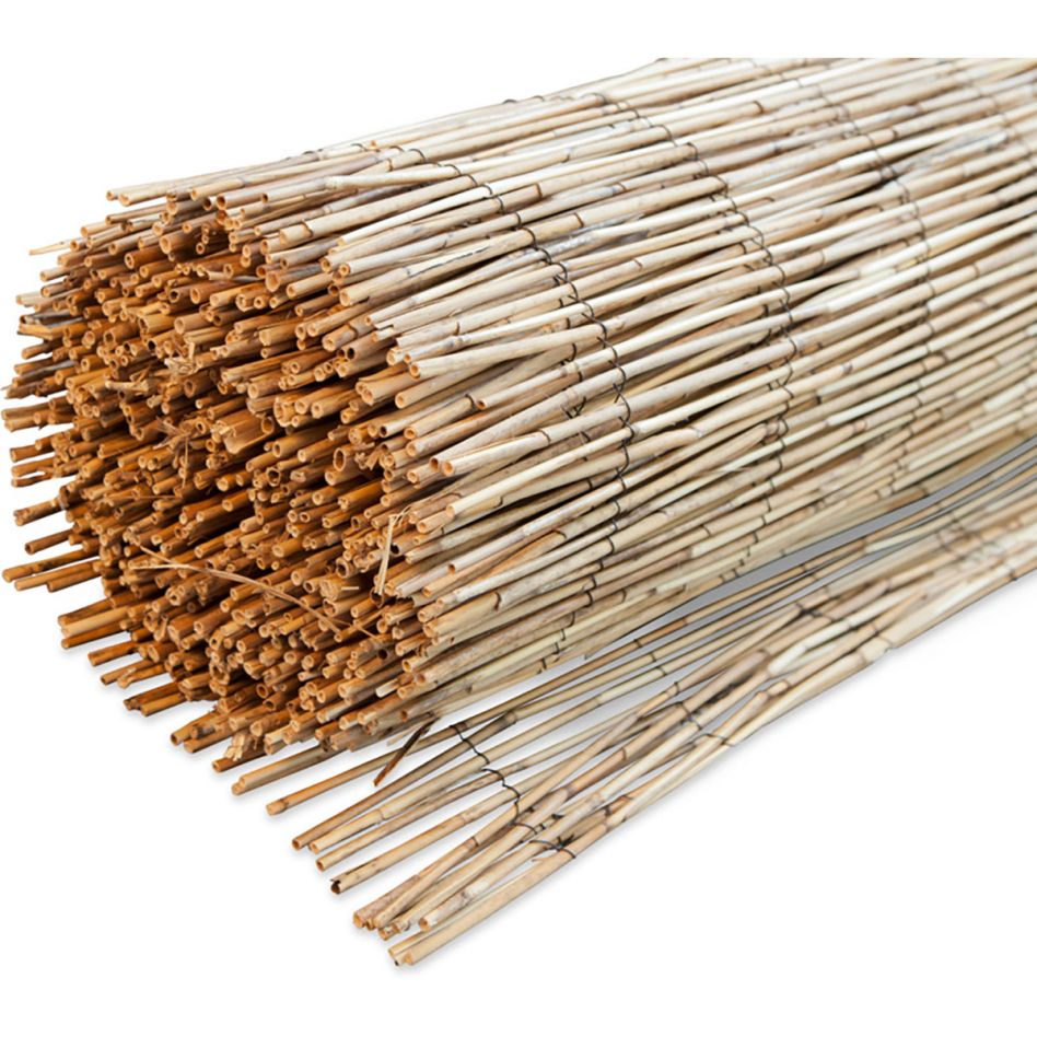 Windhager Sichtschutzmatte Schilfrohrmatte Paillon pelé, 1,5x5 m