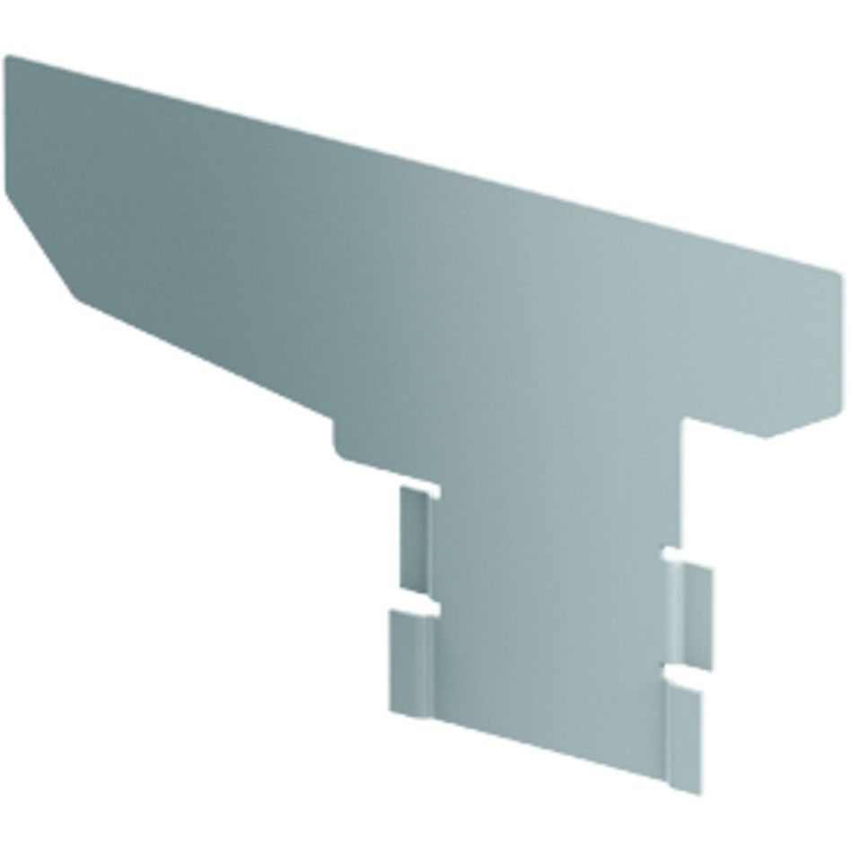 ACO Profiline 2.0 Stirnwand für Keilrinne für Fassadenentwässerung Edelstahl günstig