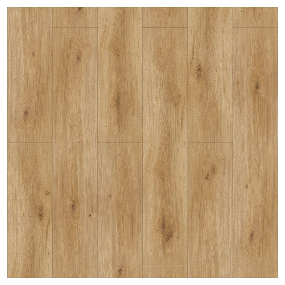 Parador Laminat Landhausdiele Basic 600 XS Eiche Horizont natur 4V, 1 Pack günstig