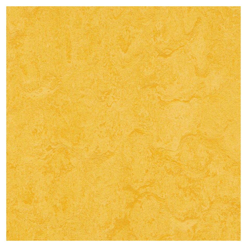 forbo Linoleum Marmoleum Click lemon zest Revêtement de sol, 1 pack günstig