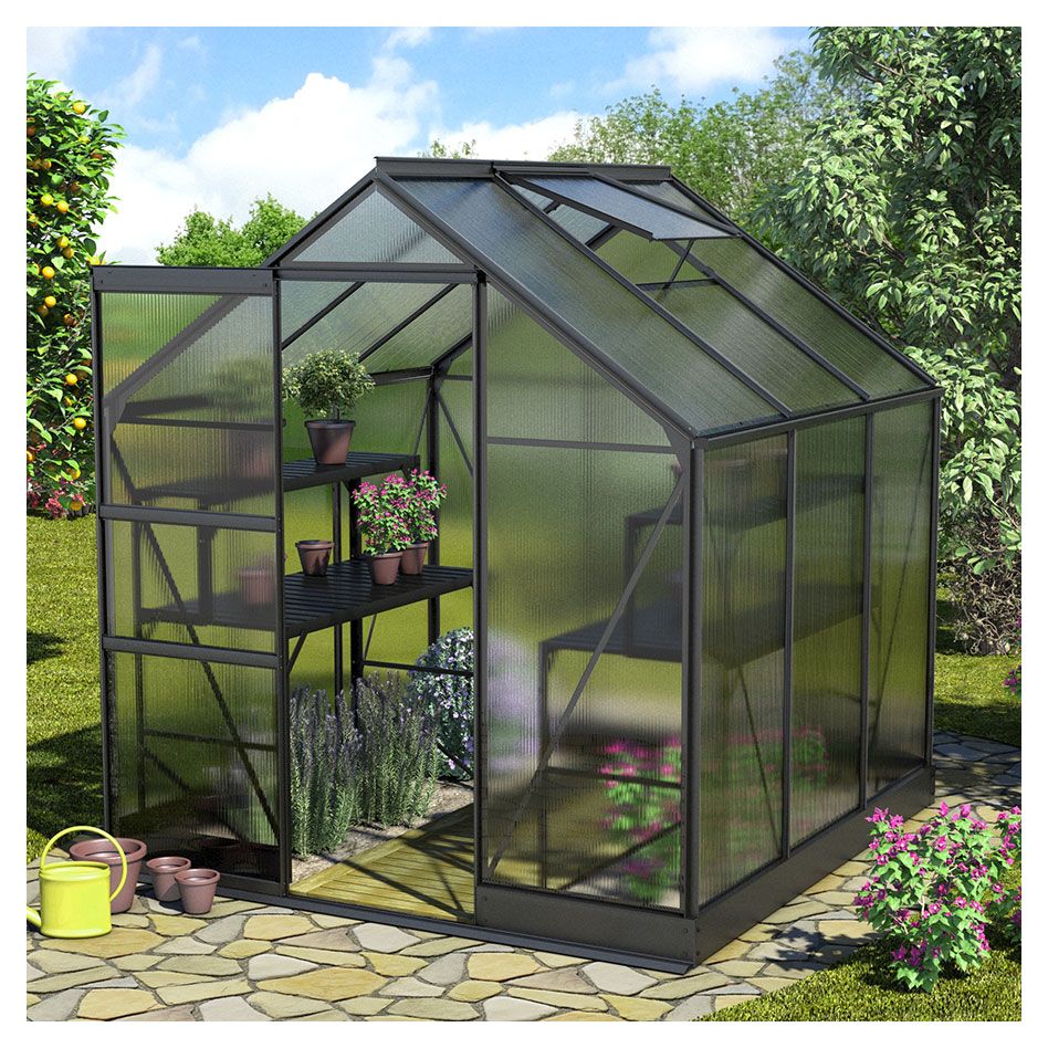 Vitavia Gewächshaus Apollo Tomatenhaus Schwarz günstig