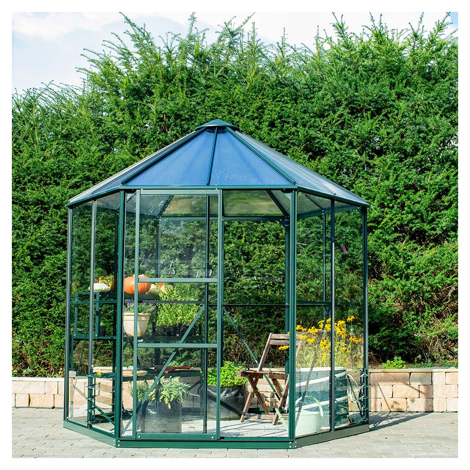 Vitavia Gewächshaus Pavillons Juno Tomatenhaus Smaragd günstig