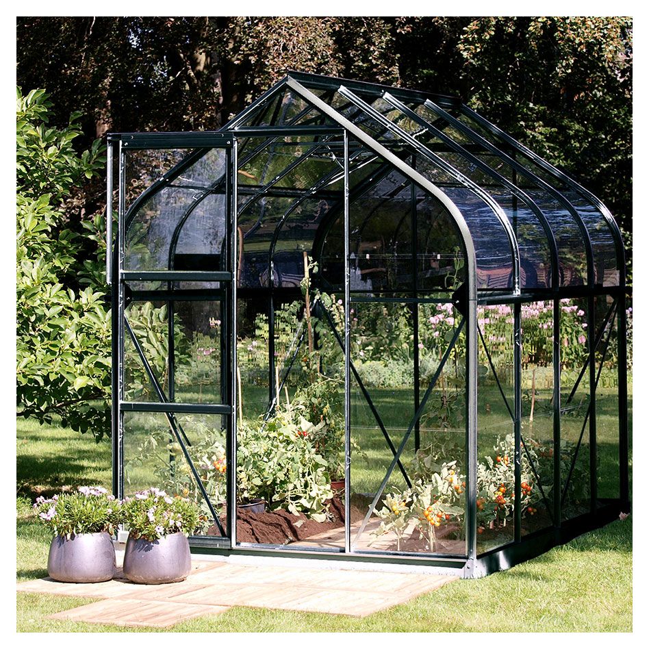 Vitavia Gewächshaus Orion Tomatenhaus Schwarz günstig