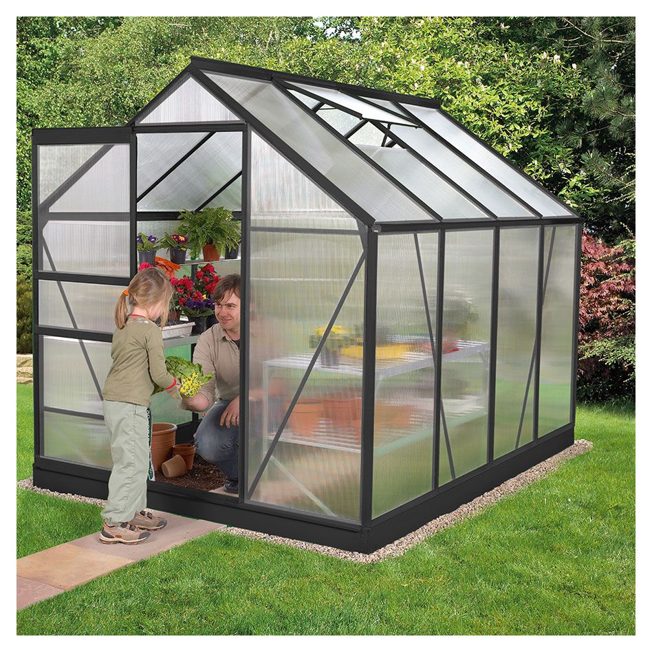 Vitavia Gewächshaus Venus Tomatenhaus Schwarz günstig