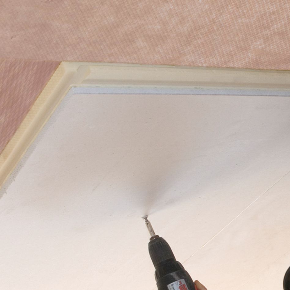 Linifix Troko Schraube, 110 mm, 1 Pack