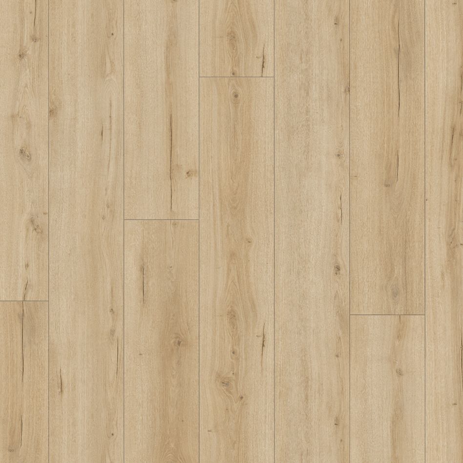 Parador Laminat Trendtime 6 Eiche Loft pure Lebhafte Struktur, 1 Pack günstig