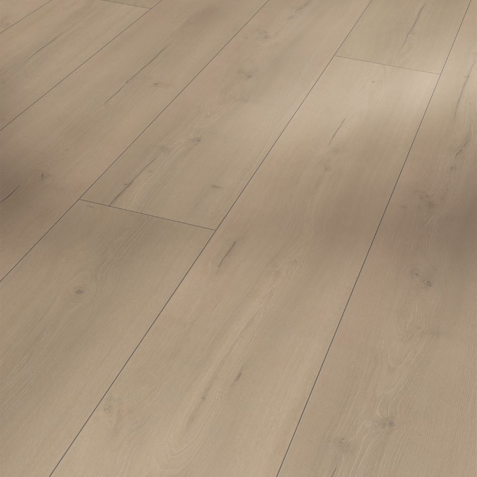 Parador Laminat Trendtime 6 Eiche Loft grau Lebhafte Struktur, 1 Pack günstig