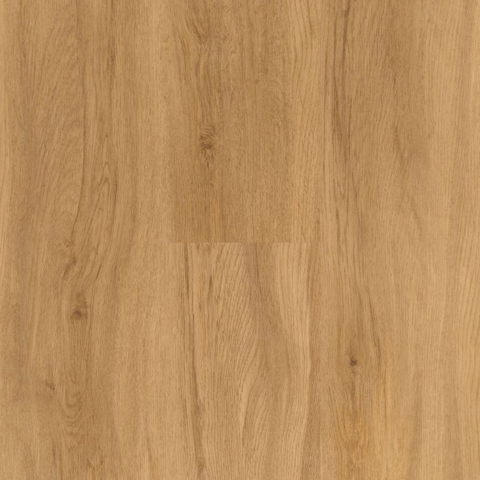 Parador Vinyl Designboden Basic 2.0 Eiche Sierra Natur Holzdekor Landhausdiele - braun