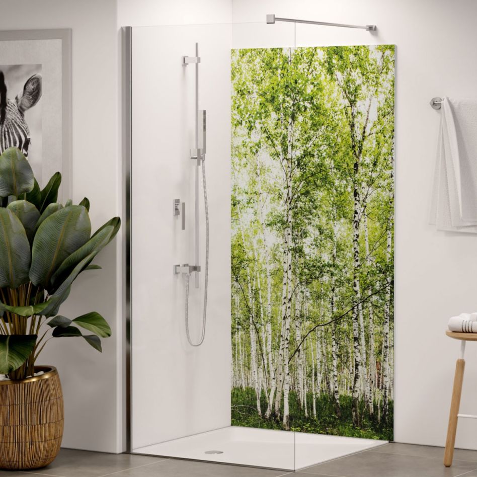 Panneau mural de douche Winwall en composite aluminium Forêt de bouleaux günstig