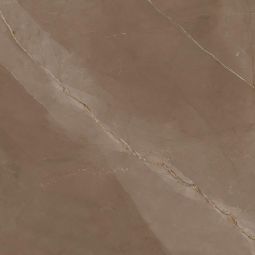 Wellker Fliesen Chihuahua Braun glasiert matt rektifiziert 60x60 cm Stärke 9 mm Für Fußbodenheizung geeignet