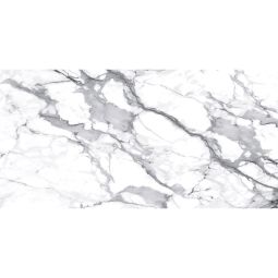 Wellker Fliesen Apodaca Grey Plus glasiert glänzend rektifiziert Stärke 6 mm verschiedene Größen