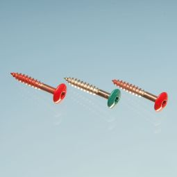 TRESPA® Meteon® Fassadenschraube 5,5x35 mm Farblich passende Schrauben für TRESPA® Meteon® Fasadenplatten