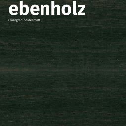 Remmers HK-Lasur 3in1 ebenholz RC-790 5