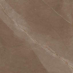 Wellker Fliesen Desert Braun glasiert matt rektifiziert 60x60 cm Stärke 9 mm auch als Muster erhältlich