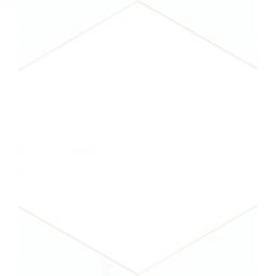 Wellker Fliesen Hexagon Solid White glasiert matt Rundkante 51,5x25 cm Stärke 9 mm auch als Muster erhältlich