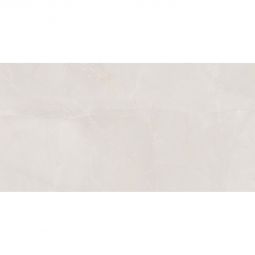 Wellker Wandfliese Tundra Silver glasiert glänzend rektifiziert 30x60 cm Stärke 10 mm auch als Muster erhältlich
