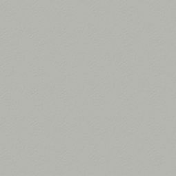 TRESPA® Meteon® EDS Fassadenplatten zweiseitig Dekor Uni Silver Grey Satin A03.4.0 Äußerst witterungsbeständige Hochdrucklaminatplatten für überzeugende Ästhetik und grenzenlose Gestaltungsmöglichkeiten