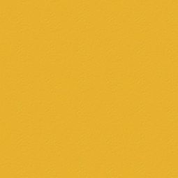 TRESPA® Meteon® EDF Fassadenplatten zweiseitig Dekor Uni Gold Yellow Satin A04.1.7 Äußerst witterungsbeständige Hochdrucklaminatplatten für grenzenlose Gestaltungsmöglichkeiten und überzeugende Ästhetik