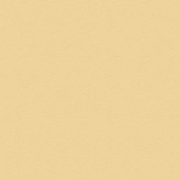 TRESPA® Meteon® EDF Fassadenplatten zweiseitig Dekor Uni Champagne Satin A05.1.2 Äußerst witterungsbeständige Hochdrucklaminatplatten für grenzenlose Gestaltungsmöglichkeiten und überzeugende Ästhetik