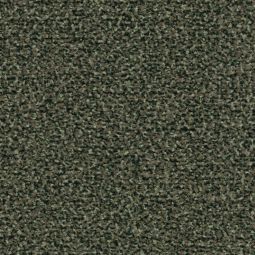forbo Fußmatte Fußabstreifer Coral Classic 4758 olive reduziert Schmutz & Feuchtigkeit im Wohnbereich, verschiedene Größen