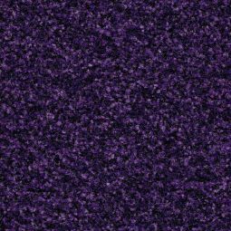 forbo Fußmatte Fußabstreifer Coral Brush 5709 royal purple für hohen Laufverkehr geeignet, verschiedene Größen