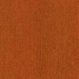 TRESPA® Meteon® EDF Fassadenplatten zweiseitig Dekor Naturals Rusted Brown matt NM01 weckt natürliche Farben und Strukturen zum Leben und erzeugt einen robusten und abgenutzten natürlichen Look