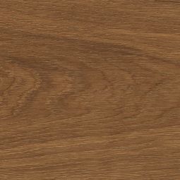 HARO Parkett Landhausdiele 4000 TC Plaza 240 4V Bernsteineiche Markant naturaLin plus Naturgeölte Diele 2200x220 mm in warmer Optik, für Fußbodenheizung geeignet