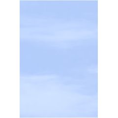 TraumGarten Sichtschutzzaun 