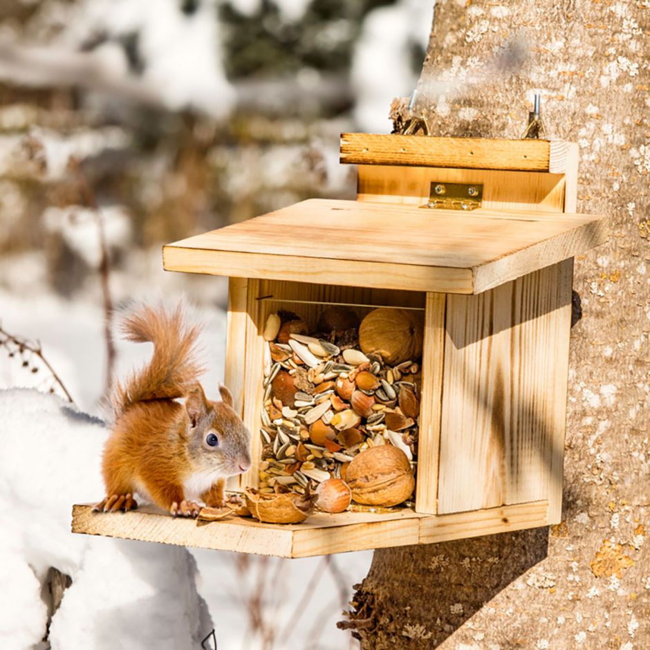Windhager Eichhörnchen Futterhaus Futterstation mit 3