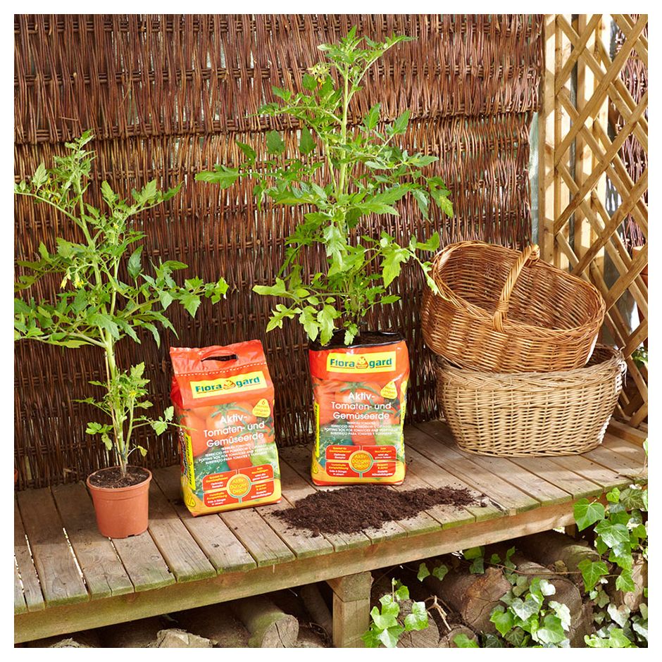 Floragard Aktiv Tomaten- und Gemüseerde 4