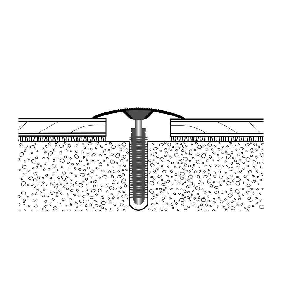 PARKETTFREUND Übergangsprofil PF 188 Alu eloxiert Sand Einschlagdübel Übergangsschiene, 180 cm Image