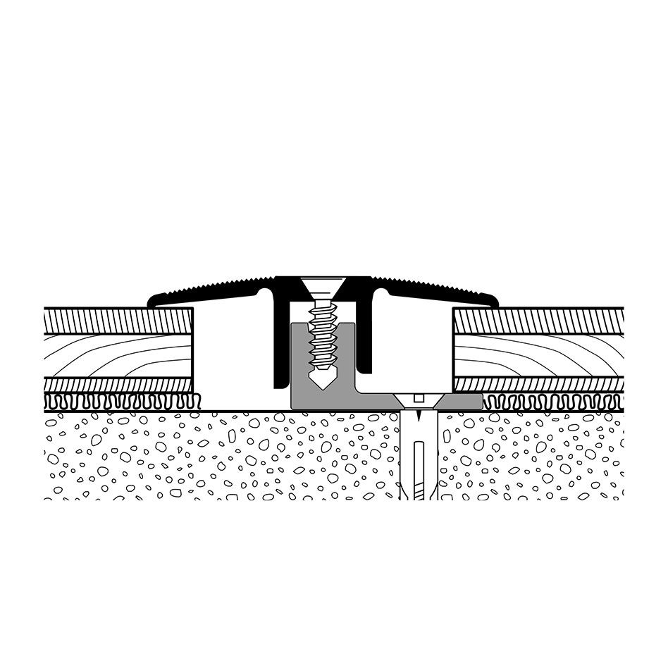 PARKETTFREUND Übergangsprofil PF 388 TS Alu eloxiert Silber Schraub- und Clicksystem Übergangsschiene grau, 180 cm Image