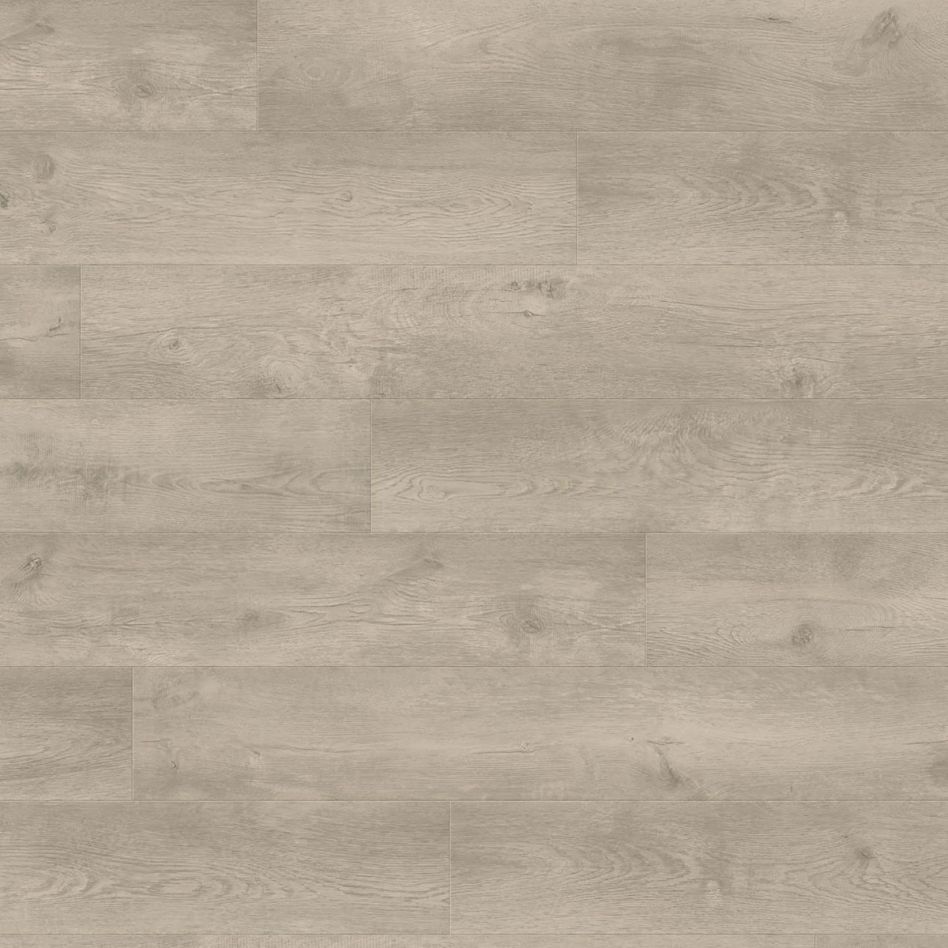 HARO Laminat Landhausdiele TRITTY 100 TC 4V Eiche Bergamo silbergrau authentic soft, Mit Silent Pro Dämmunterlage