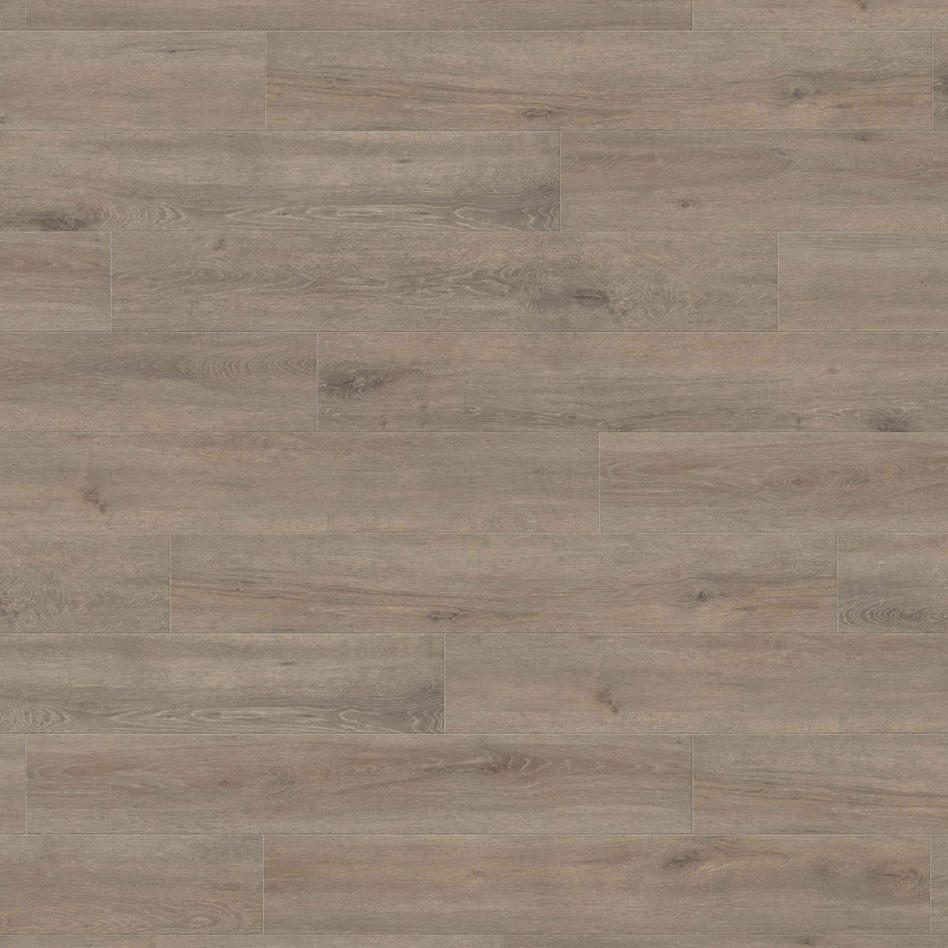 HARO Laminat Landhausdiele TRITTY 100 TC 4V Eiche Veneto mocca authentic matt, Standard