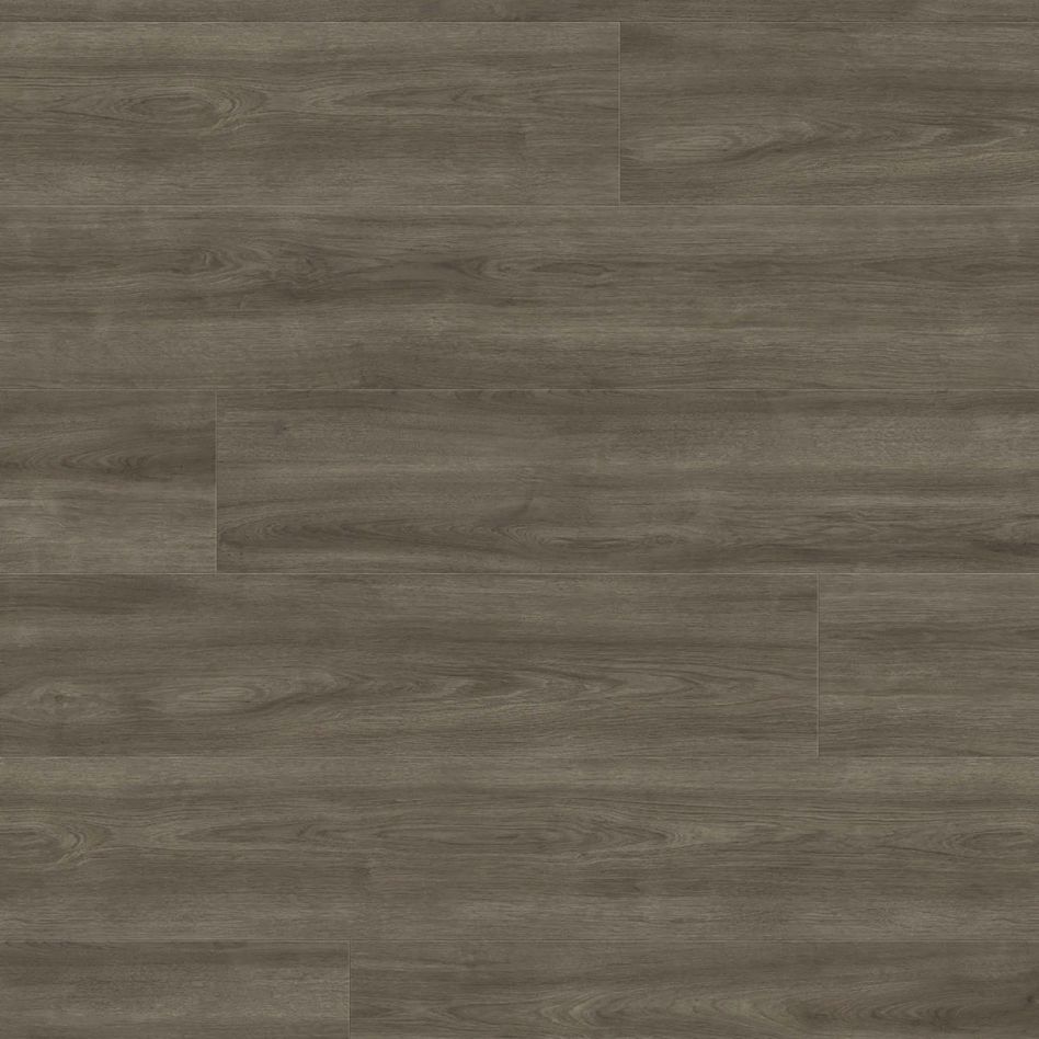 HARO Laminat TRITTY 100 TC Gran Via 4V Eiche Eleganza antikgrau authentic, Mit Silent CT Dämmunterlage