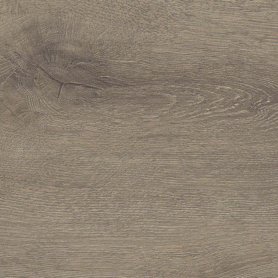 HARO Laminat TRITTY 100 TC Gran Via 4V Eiche Veneto mocca authentic matt, Mit Silent Pro Dämmunterlage