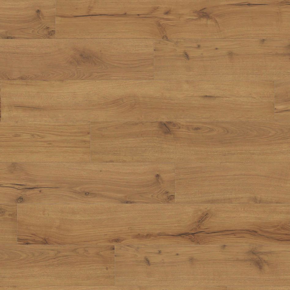 HARO Laminat Landhausdiele TRITTY 100 TC 4V Alpineiche natur authentic matt, Standard