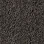 forbo Fußmatte Fußabstreifer Coral Brush 5714 shark grey