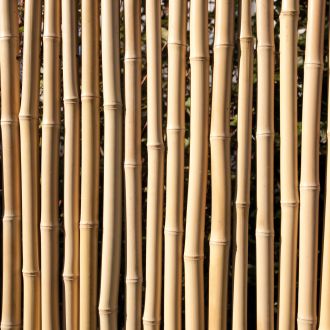 Sichtschutzzaun-BAMBU-Bambus-1