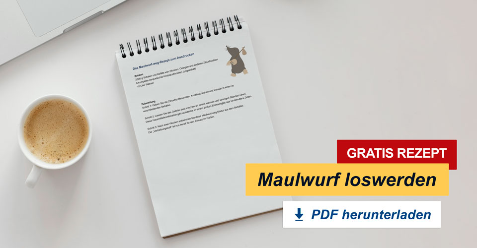 Gratis PDF zum drucken